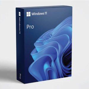 windows 11 Pro DVD